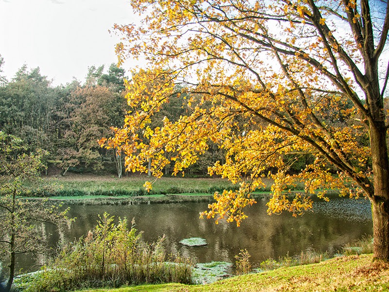 Herfstkleuren aan het kanaal