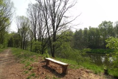 Bankje aan de Zomerkade