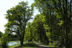 Fietspad langs Drongelens kanaal
