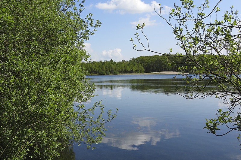 Zandwinplas