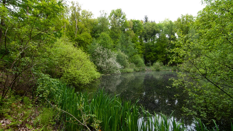 Ottershoek