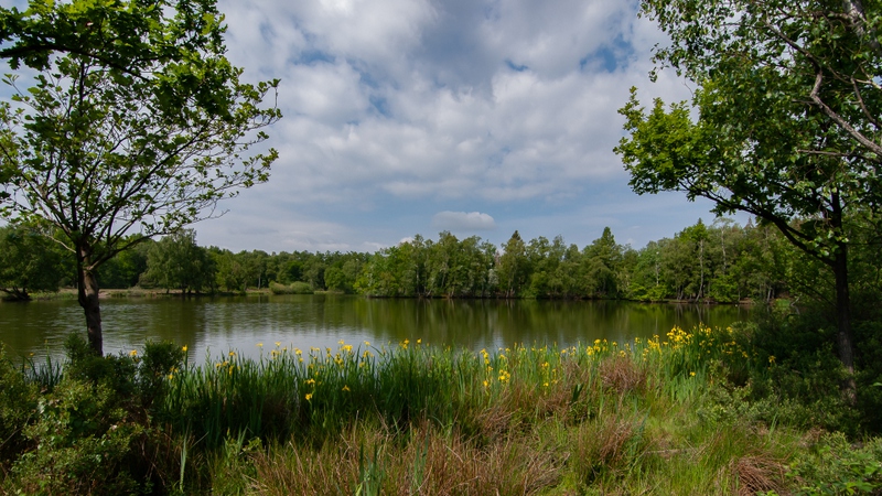 Ottershoek