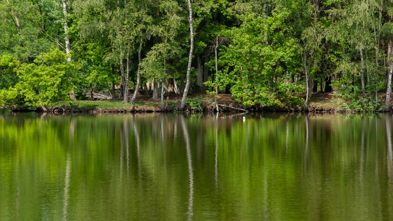 Ottershoek