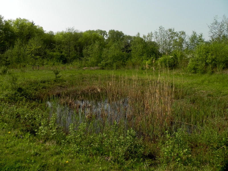 Poeltje Vlinderveld