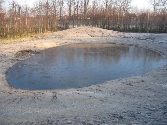 Poel Vlinderveld