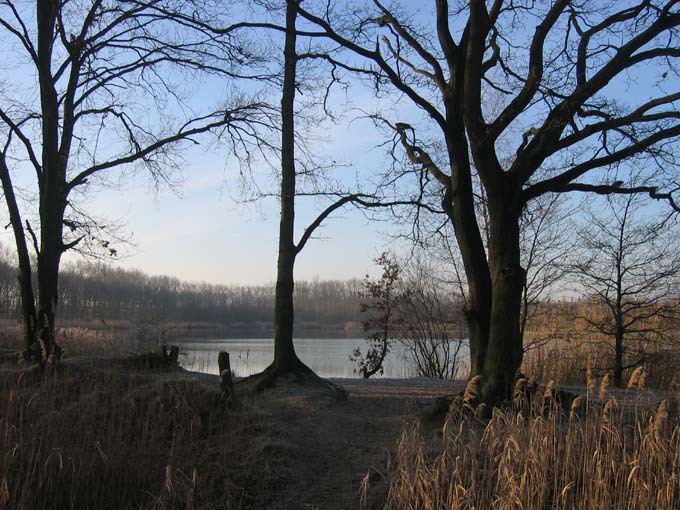 Lange Wiel