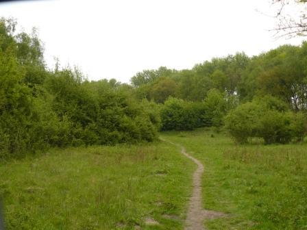 Pad Ottershoek