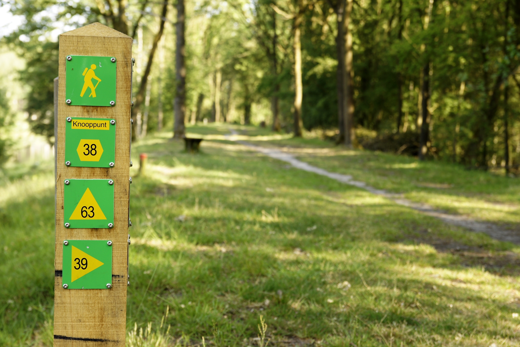 Wandelknoopput