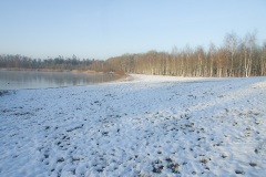Sneeuw op het vlinderveld