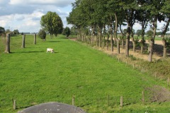 Oude pad richting Baardwijk