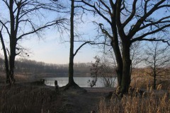 Lange Wiel Lange Wiel