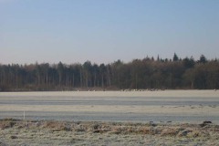 Winters weiland Winters weiland