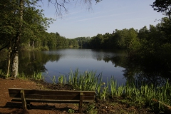 Zicht op de Lange Wiel