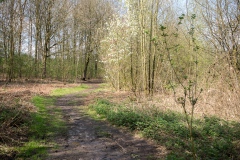Wandelpad Zandwinplas