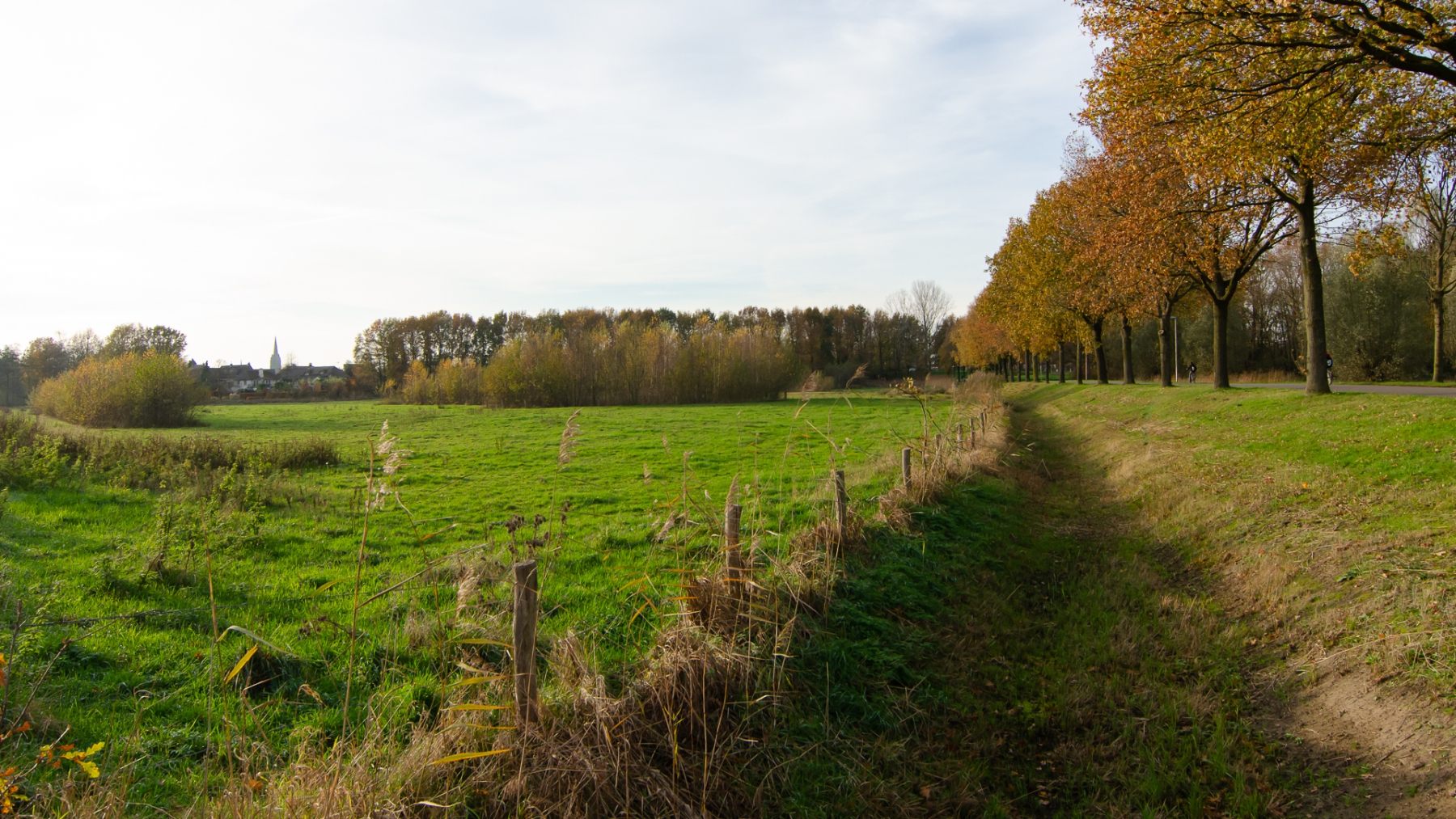 Polderzicht richting Molenhoek