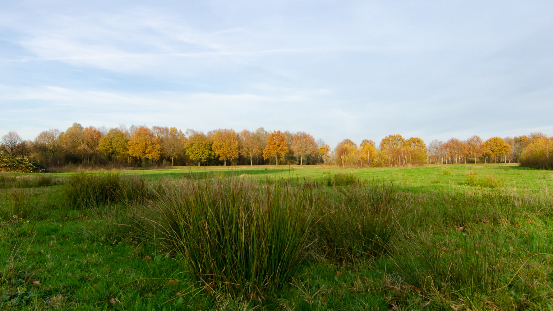 Polderzicht Richting Gemeint