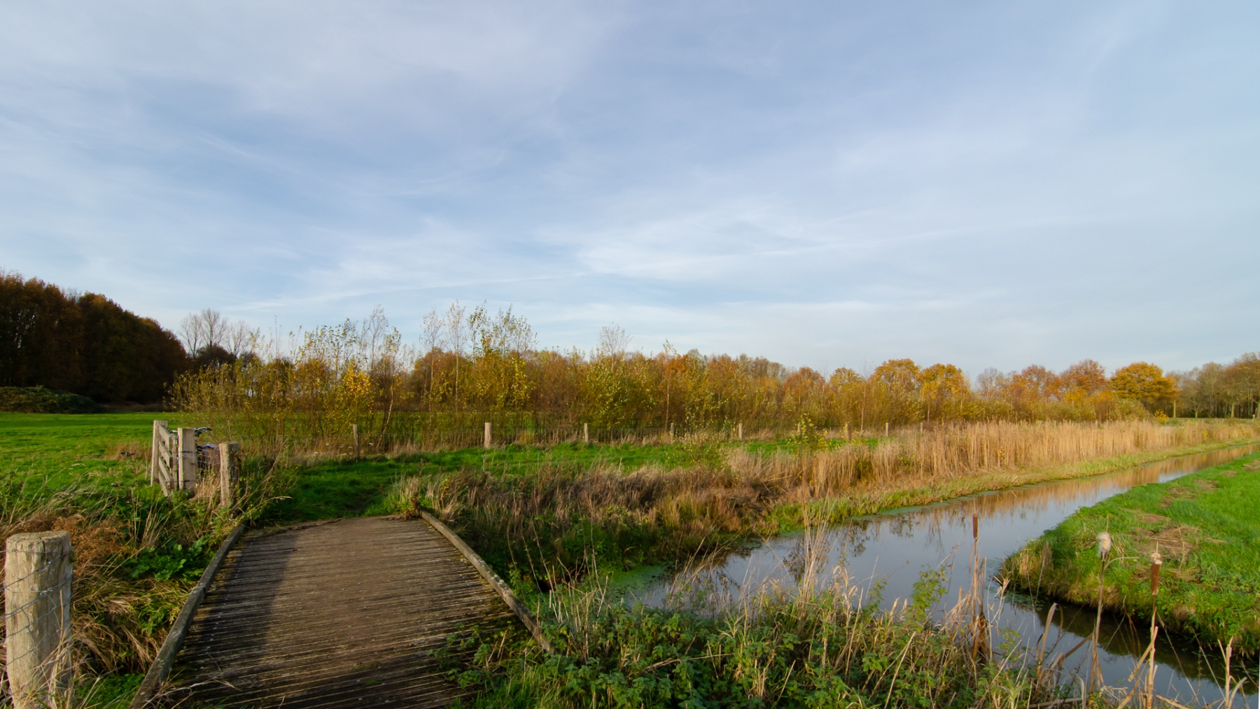 Wandelpad