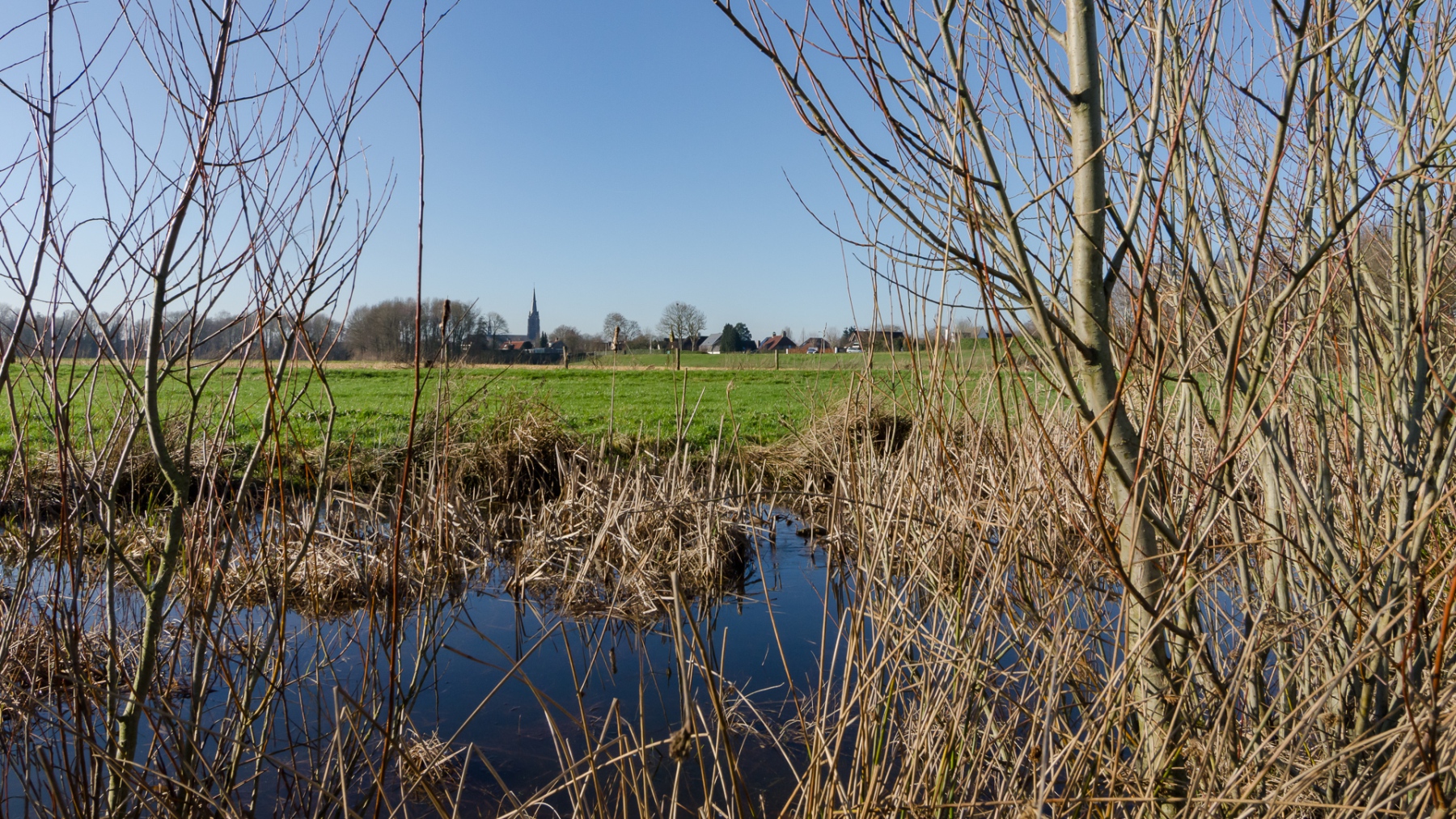 Bescheiden hoeveelheid water