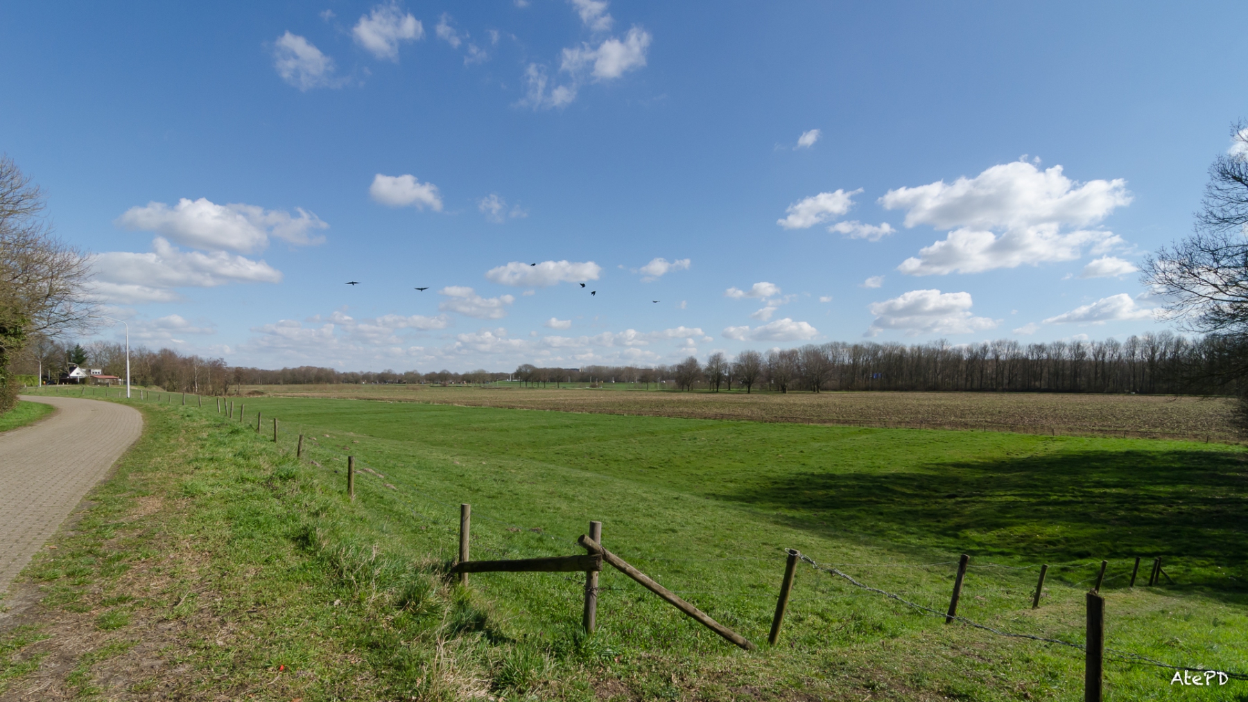 Zicht vanaf de Molenhoek A59
