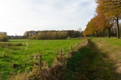 Polderzicht richting Molenhoek