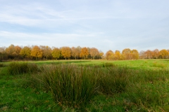Biessertpolder