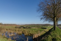 Biessertweg en kunstwerk