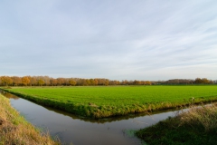 Cultuurhistorisch slotenpatroon