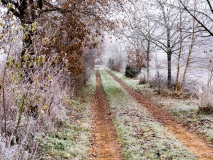 Toegangspad Toegangspad