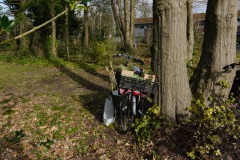 Venne-Oost afhalen planten