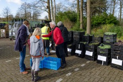 Venne-Oost afhalen planten