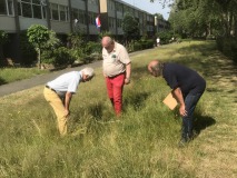 Planten inventarisatie