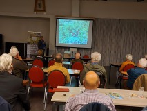 Vlinderlezing
