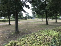 Planten inventarisatie