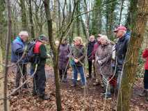 Bomen-knoppen-en-twijgen wandeling Bomen-knoppen-en-twijgen wandeling