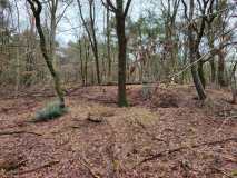 Dassen wandeling