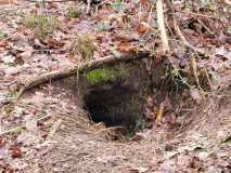 Dassen wandeling