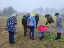 Planten wandeling Vliedberg