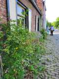 Planten wandeling Herpt