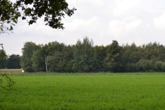 Overzicht Eendenkooi Drunen