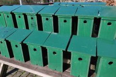 Nestkastjes voor mezen en andere rups-eters