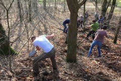 Amerikaanse vogelkers eruit