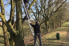 Nestkastje de boom in