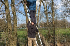 Nestkastje de boom in