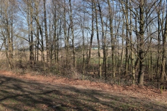 Kruising Voordijk Engelenseweg 2022