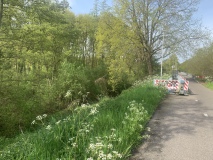 Verzakking in de Spoordijk door dassenburcht