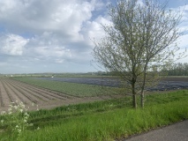 Akkerbouw tussen Spoordijk en A59