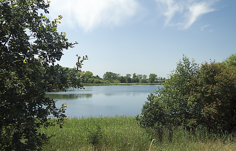 Zicht vanaf de dijk