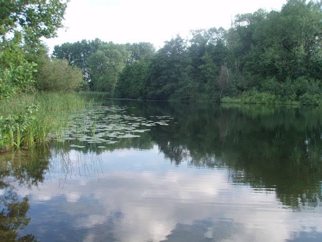 Wolkenspiegeling