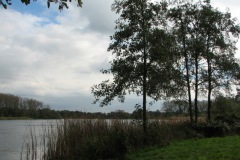Haarsteegse Wiel