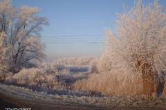 Berijpte omgeving in het zonnetje
